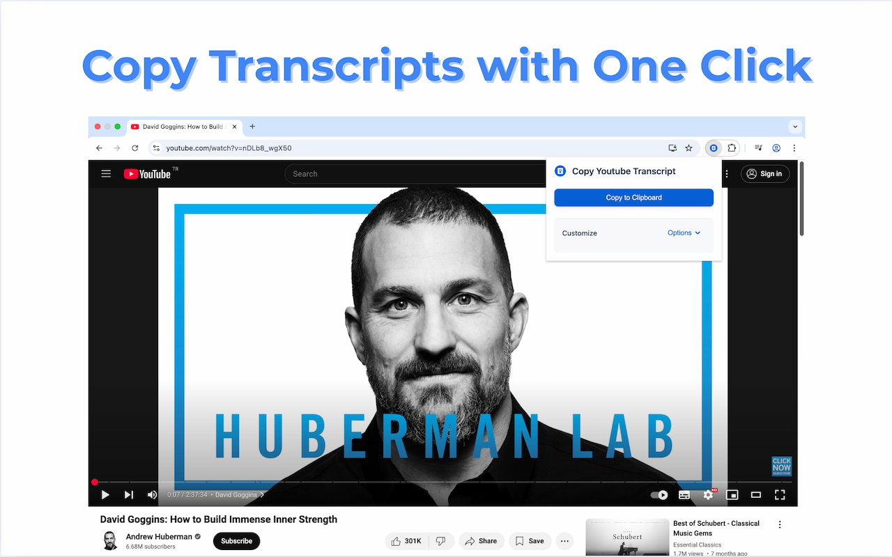 Copy YouTube Transcript extension - one click transcript copying