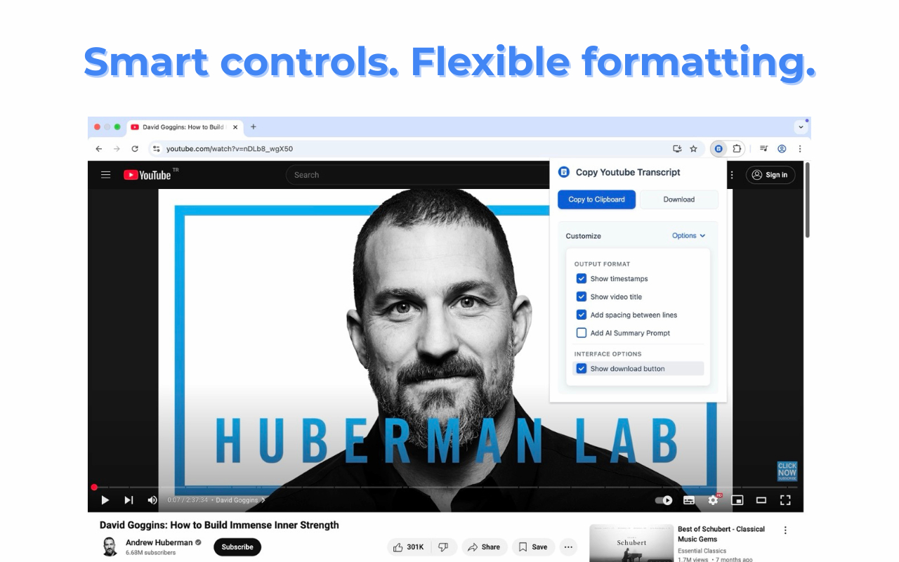 YouTube transcript with customizable formatting options